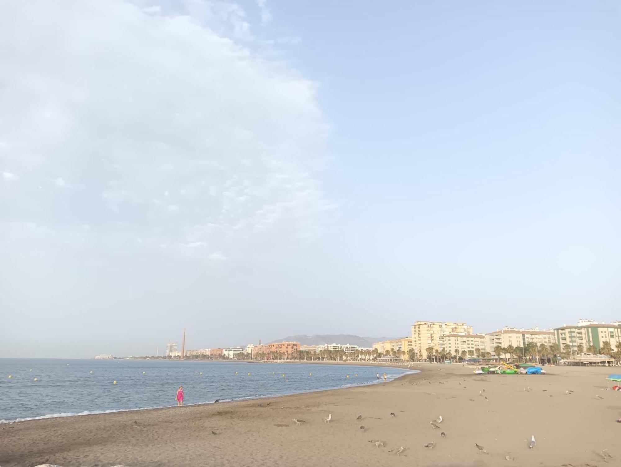 Holidays2Malaga Montesa 700M From The Beach Rooftop Terrace Экстерьер фото